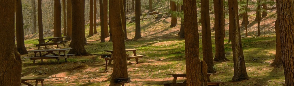 Atlanta Startup Jobs - Scratch your own itch park